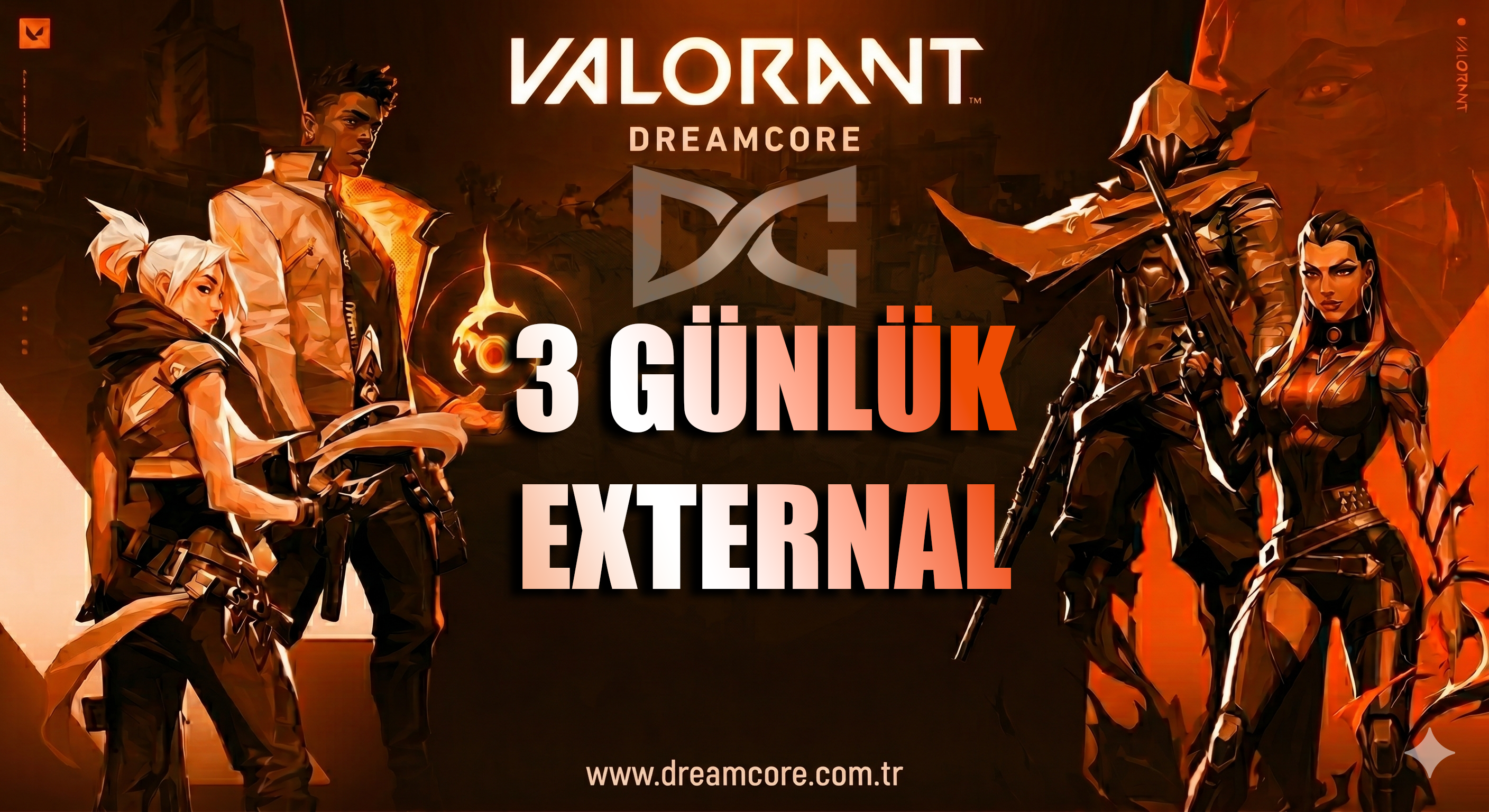 3 Günlük External